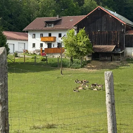 Urlaub Auf Dem Land Lejlighed Chamerau